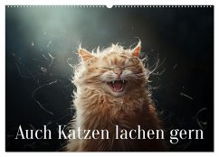 Auch Katzen lachen gern (Wandkalender 2025 DIN A2 quer), CALVENDO Monatskalender