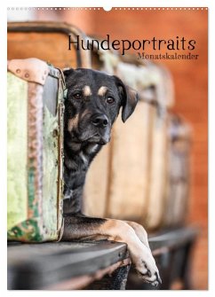 Hundeportraits - Monatskalender (Wandkalender 2025 DIN A2 hoch), CALVENDO Monatskalender