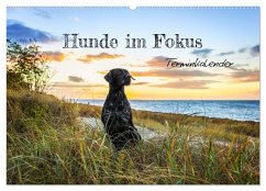 Hunde im Fokus (Wandkalender 2025 DIN A2 quer), CALVENDO Monatskalender - Calvendo;Tierfotografie Bianca Clemens, BC