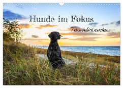 Hunde im Fokus (Wandkalender 2025 DIN A3 quer), CALVENDO Monatskalender