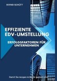 Effiziente EDV-Umstellung