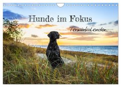 Hunde im Fokus (Wandkalender 2025 DIN A4 quer), CALVENDO Monatskalender - Calvendo;Tierfotografie Bianca Clemens, BC