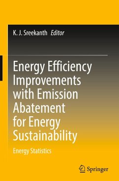 Energy Efficiency Improvements with Emission Abatement for Energy Sustainability