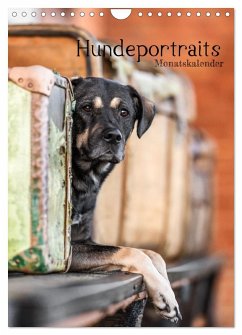 Hundeportraits - Monatskalender (Wandkalender 2025 DIN A4 hoch), CALVENDO Monatskalender - Calvendo;Tierfotografie Bianca Clemens, BC