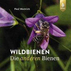 Wildbienen, die anderen Bienen (eBook, PDF) - Westrich, Paul