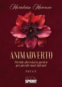 Animadverto (eBook, ePUB) - Maiorano, Marialuisa