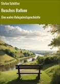 Busches Balkon (eBook, ePUB)