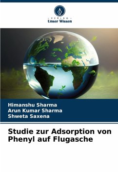 Cover Studie zur Adsorption von Phenyl auf Flugasche