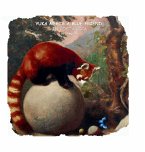 Yuka meets a blue friend in Costa Rica Yuka meets a blue friend in Costa Rica