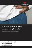 Ureteral calculi at CHU Luxembourg Bamako