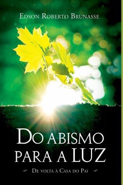 Cover Do Abismo Para A Luz