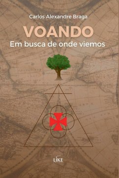 Voando Em Busca De Onde Viemos Cover Voando Em Busca De Onde Viemos