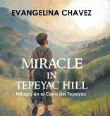 Miracle in Tepeyac Hill