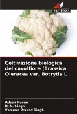 Coltivazione biologica del cavolfiore (Brassica Oleracea var. Botrytis L