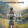 Miracle in Tepeyac Hill - Bild 1