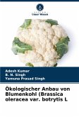 Ökologischer Anbau von Blumenkohl (Brassica oleracea var. botrytis L