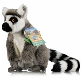 Bresser 9820509 - Freek Vonk, Katta Baki, Plüschtier, 30 cm Bresser 9820509 - Freek Vonk, Katta Baki, Plüschtier, 30 cm