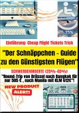 "Der Schnäppchen -Guide zu den Günstigsten Flügen" Schwerbehinderte (25%-45%) (eBook, ePUB)