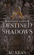 Destined Shadows - Bild 1