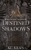 Destined Shadows