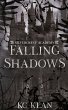 Falling Shadows - Bild 1