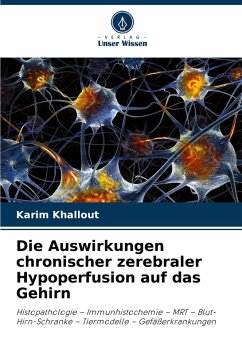 Cover Die Auswirkungen chronischer zerebraler Hypoperfusion auf das Gehirn