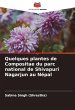 Quelques plantes de Compositae du parc... - Bild 1