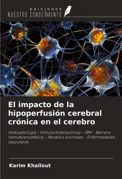 El impacto de la hipoperfusión cerebral crónica en el cerebro - Khallout, Karim