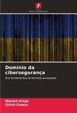 Domínio da cibersegurança