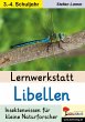 Lernwerkstatt Libellen - Bild 1
