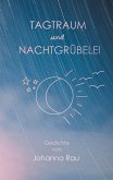 Tagtraum und Nachtgrübelei (eBook, ePUB)