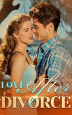 Love After Divorce 3 (eBook, ePUB)