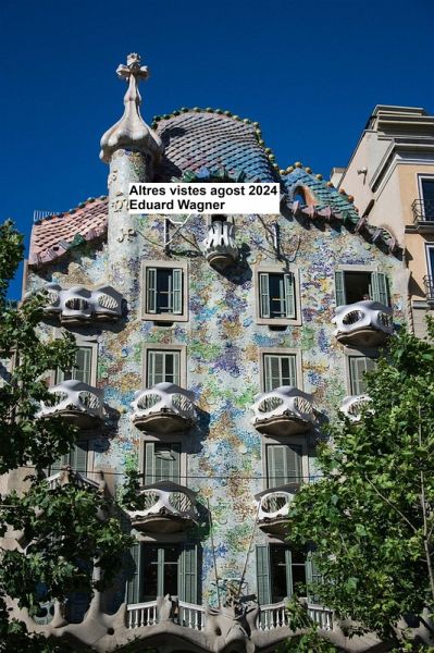 Altres vistes agost 2024 (eBook, ePUB)