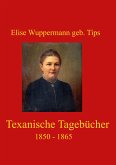 Texanische Tagebücher (eBook, ePUB)