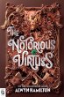 The Notorious Virtues - Bild 1