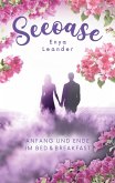 Seeoase 3: Anfang und Ende im Bed and Breakfast (Liebesroman mit Spannung, Gefühlen und Happy End)