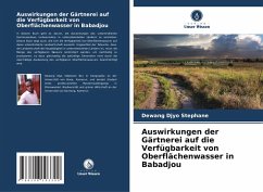 Auswirkungen der Gärtnerei auf die Verfügbarkeit von Oberflächenwasser in Babadjou - Stephane, Dewang Djyo