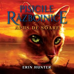 Apus de Soare (MP3-Download) - Hunter, Erin