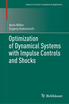 Optimization of Dynamical Systems with Impulse Controls and Shocks (eBook, PDF) - Miller, Boris; Rubinovich, Evgeny