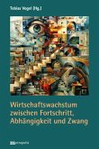 Wirtschaftswachstum zwischen Fortschritt, Abhängigkeit und Zwang