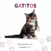 Calendario Gatitos 2025 Calendario Gatitos 2025