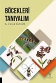 Böcekleri Taniyalim Böcekleri Taniyalim