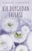 Bir Duygudan Fazlasi