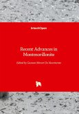 Recent Advances in Montmorillonite