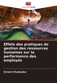 Cover Effets des pratiques de gestion des ressources humaines sur la performance des employés