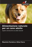 Alimentazione naturale per un cane adulto Alimentazione naturale per un cane adulto