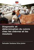 Diagnostic et détermination du cuivre chez les chèvres et les moutons Diagnostic et détermination du cuivre chez les chèvres et les moutons
