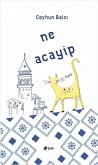 Ne Acayip Ne Acayip