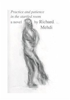 Practice and Patience in the Startled Room - Mehdi, Richard James