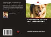 L'alimentation naturelle pour un chien adulte